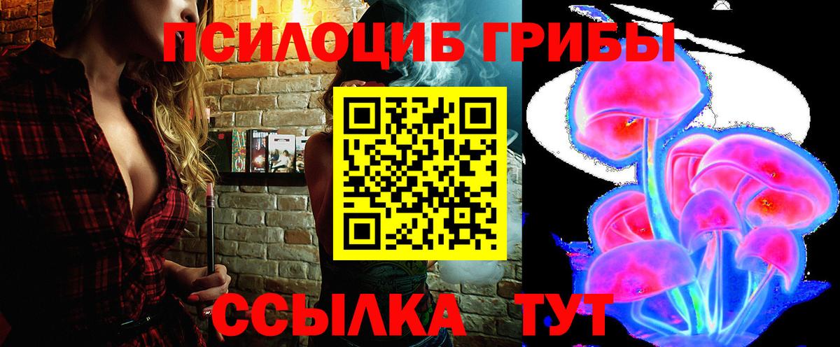 Галлюциногенные грибы Magic Shrooms  Псилоцибиновые грибы прущие грибы  Вход с VPN  Сунжа 