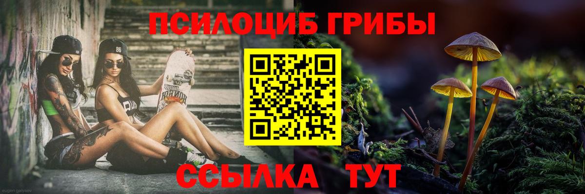 Псилоцибиновые грибы мицелий Сунжа